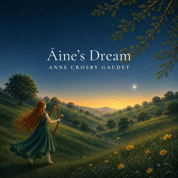 Cover art for &Aacute;ine's Dream